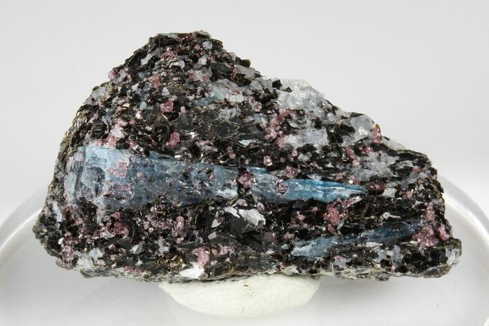 Blue Kyanite & Garnet in Biotite-Quartz Schist - Russia #178924